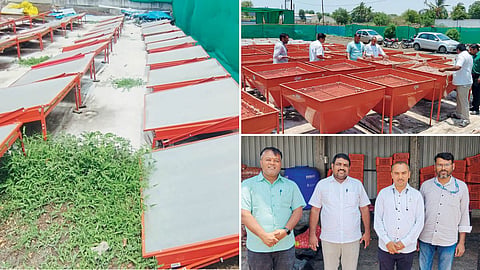 Onion Processing Industry 