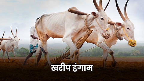 Kharif Season