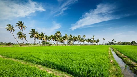 Indian Agriculture 