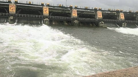 Dam stock