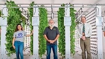 Hi-Tech Agro Tunnel 