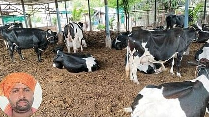 Animal Husbandry