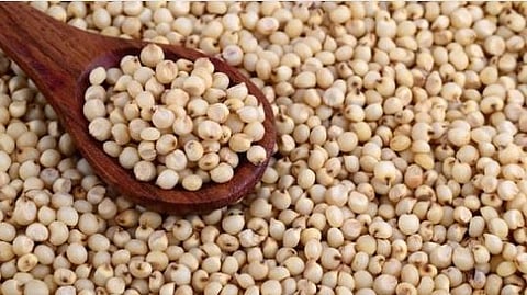 Jowar