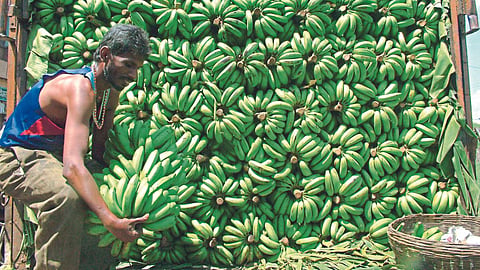 Banana Market