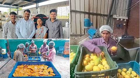 Fruit Processing 