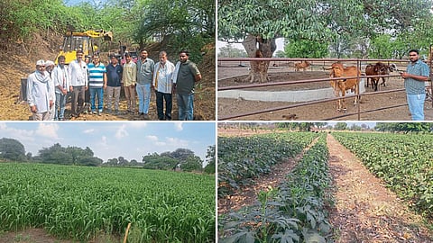 Indian Agriculture