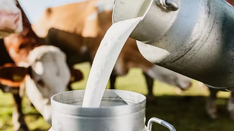 Mother Dairy Milk