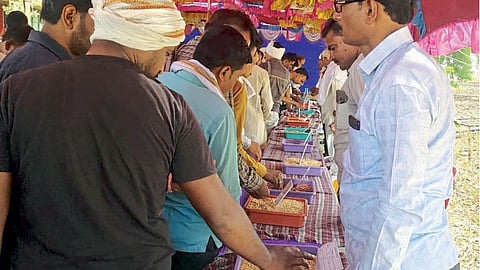 Grain Festival