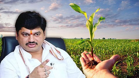 Crop Insurance 