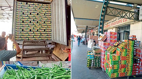 Agriculture Import-Export 