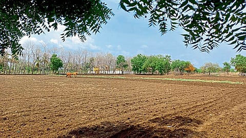 Agriculture