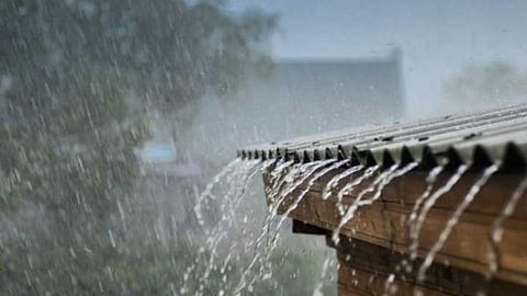 Rain Forecast