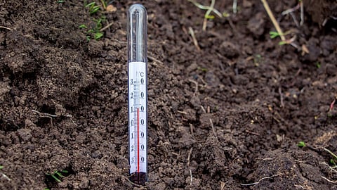 Land Temperature 