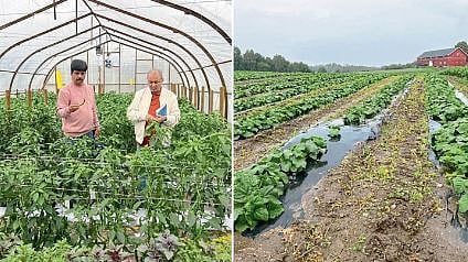 Europe Agriculture