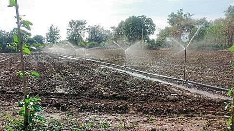 Kharif Season
