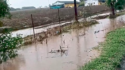 Rain Update