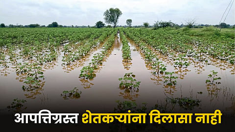 Agriculture Natural Disaster