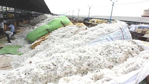 Cotton Bags