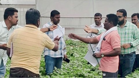 Organic Farming