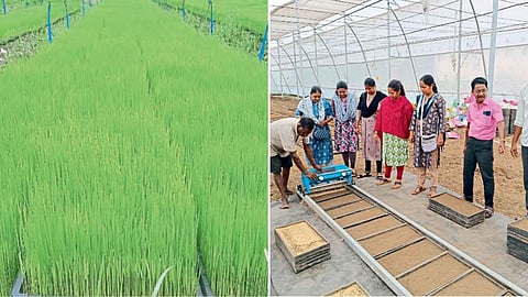 Agriculture Technology 