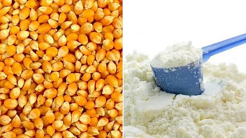Maize and Milk Powder