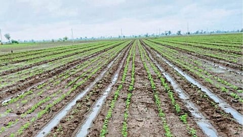 Watershed Management