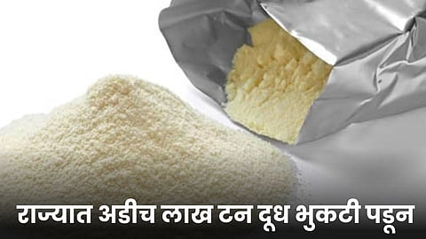 Milk Powder