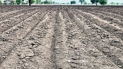 Agriculture Sowing
