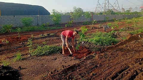 Kolhapur Forest Department