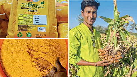 Turmeric Processing 