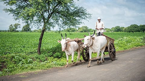Farmers New Schemes
