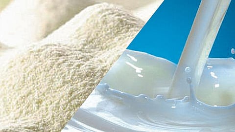 Milk Powder 