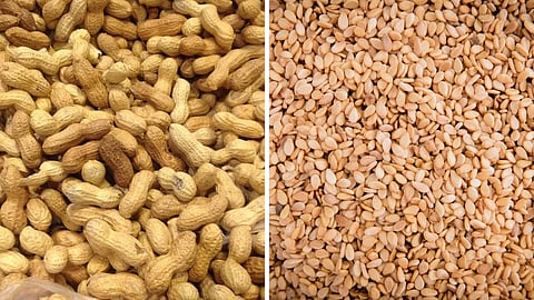 Oilseed 