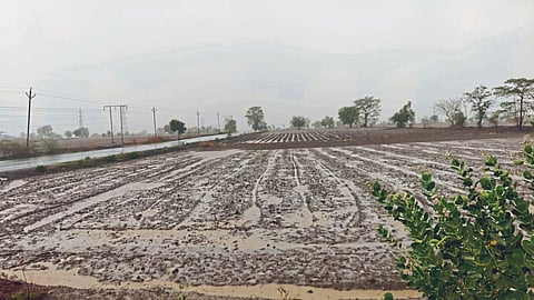 Rain Update 