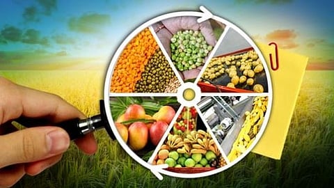 Food Processing 