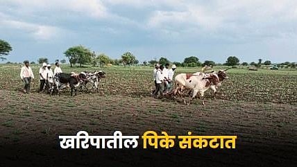 Kharif Season