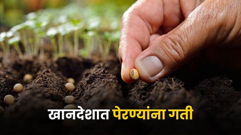 Agriculture Sowing 