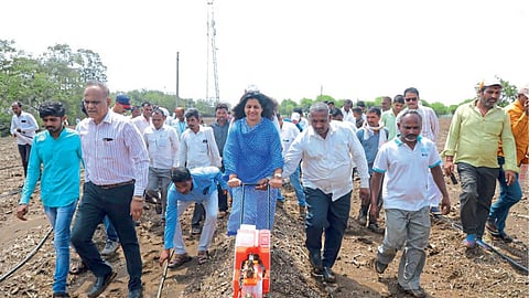 Collector Varsha Thakur-Ghuge 