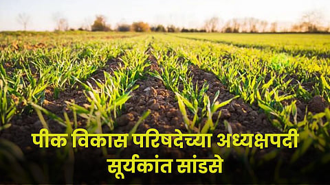 Crop Development Council