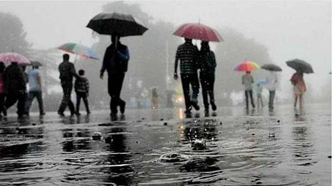 Rain Forecast 