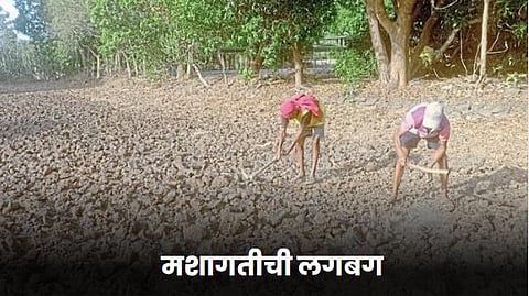Agriculture