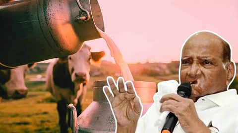 Sharad Pawar