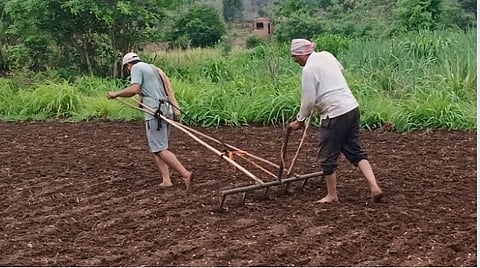 Kolhapur Farmers