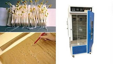 Seed Germination Test