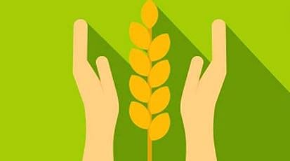 Crop Loan