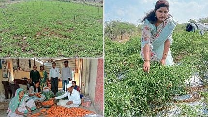 Varsha Nitin Kalbhor and Farm