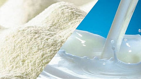Milk Powder 