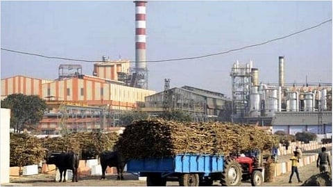 Sugar Industries