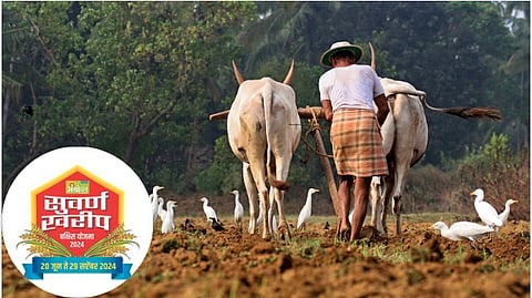Agrowon Kharif Scheme 