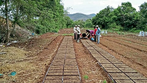Agriculture Advisory